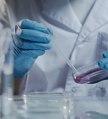Quality Control  (QC) Testing